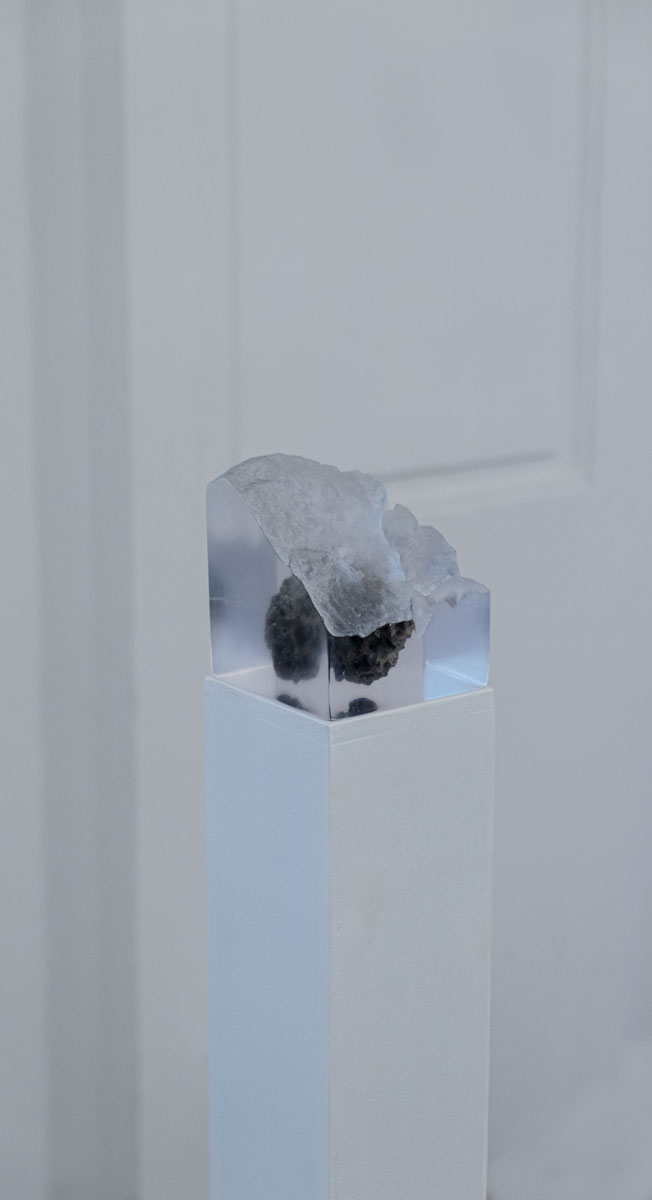 DSCF0307
